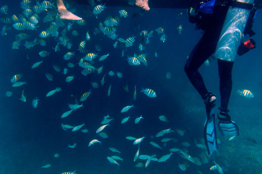 Belize-Underwater