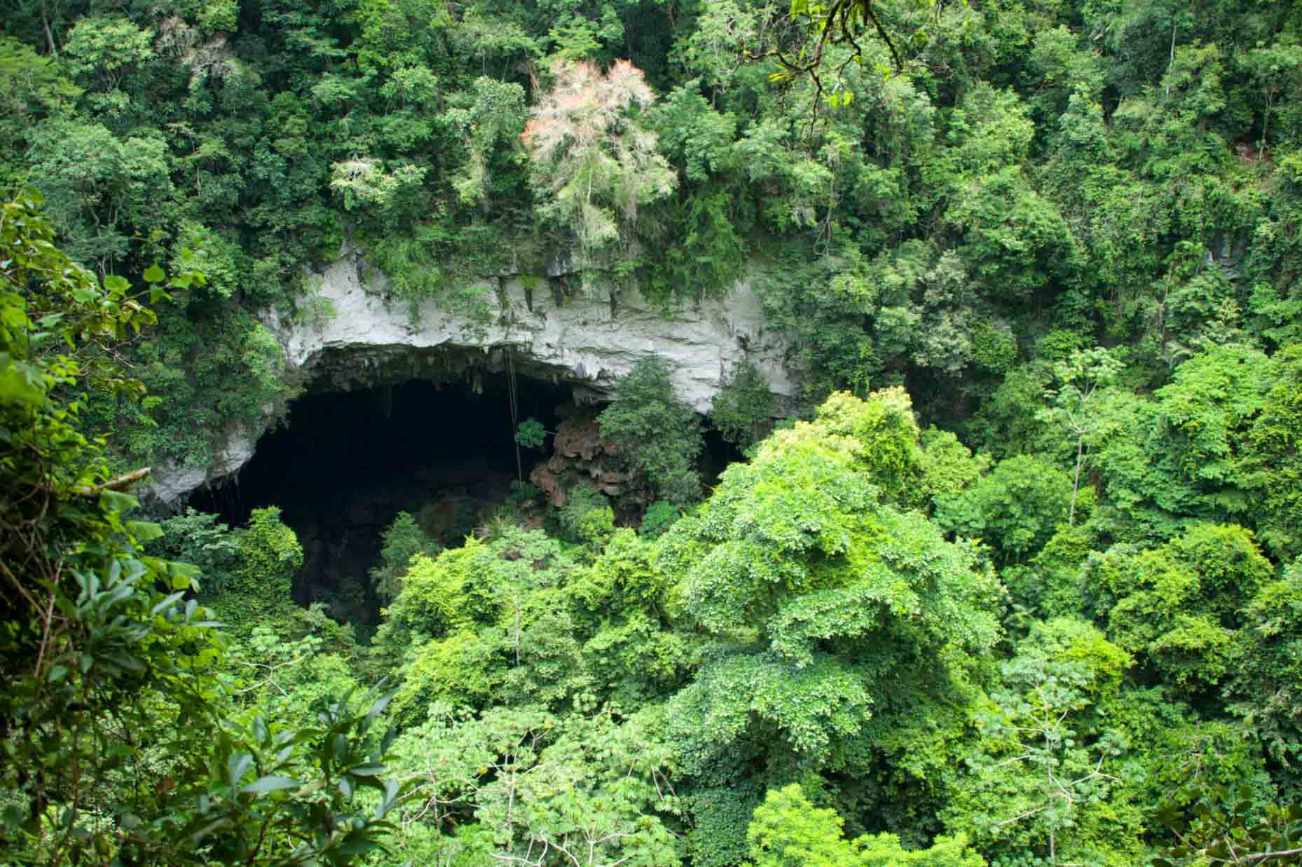 Ian-Anderson's-Caves-Branch